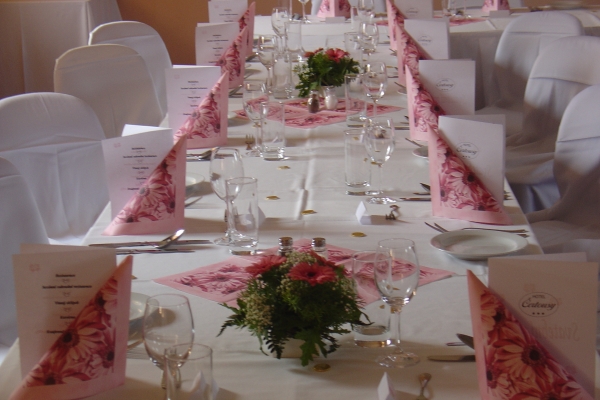 Hotel Certousy